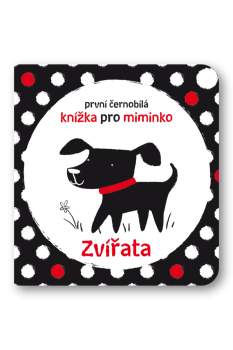 Zvířata