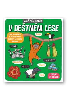 V deštném lese
