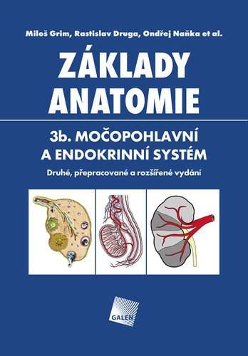 Základy anatomie