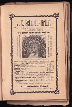 J. C. Schmidt - Erfurt - Veliké školy stromové, rozsáhlé semenářské a rostlinářské kultury - 60 jiter růžových kultur