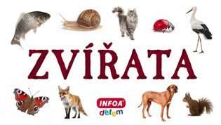 Zvířata