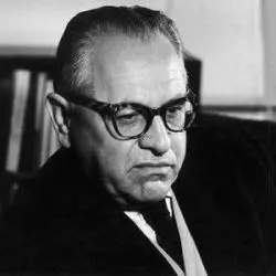 Theodor Schaefer