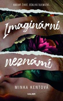 Minka Kent: Imaginární neznámí