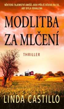 Modlitba za mlčení