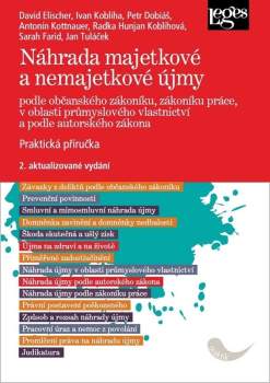 Náhrada majetkové a nemajetkové újmy podle občanského zákoníku, zákoníku práce, v oblasti průmyslového vlastnictví a podle autorského zákona