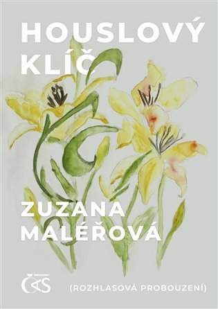 Houslový klíč