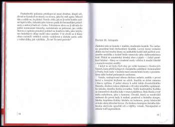 Marie Poledňáková: Ten, kdo tě miloval