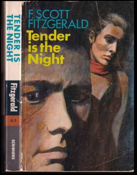 Tender is the night