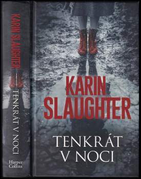 Karin Slaughter: Tenkrát v noci