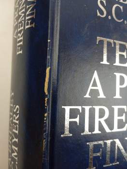 Richard A Brealey: Teorie a praxe firemních financí