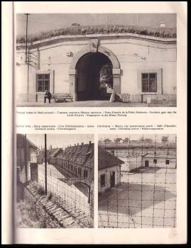 Stanislav Kostka Neumann: Terezín