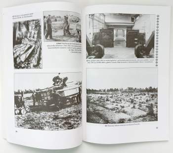 Ludmila Chládková: Terezín