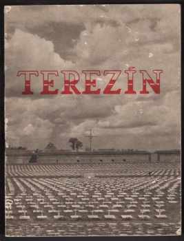 Otakar Tyl: Terezín : Obrazová publikace