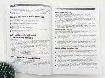 Ron Patton: Testování softwaru