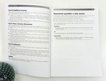 Ron Patton: Testování softwaru