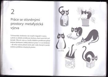 Simon Holland: Testy kočičí inteligence