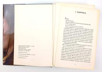 Lenka Lanczová: Těžká noc