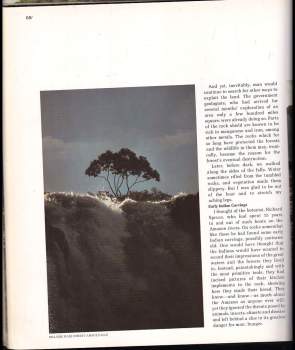 Tom Sterling: The Amazon