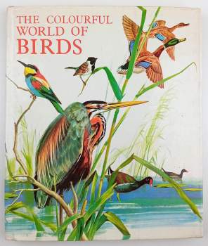 The Colourful World of Birds