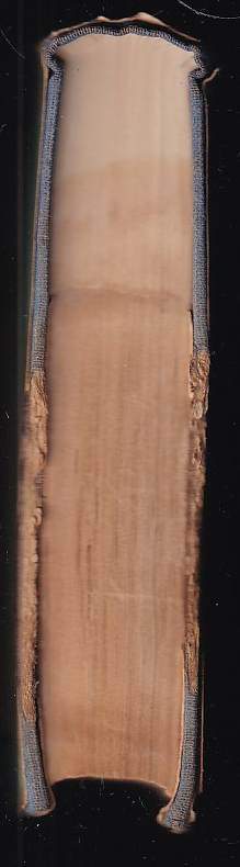 Dante Alighieri: The Divine Comedy