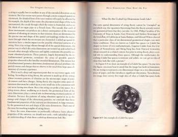 Brian Greene: The Elegant Universe