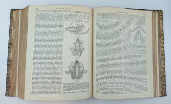 The Encyclopædia Britannica: dictionary of arts, sciences, and general literature 1875-1902 I.-XXIV. + The New Volumes of The Encyclopædia Britannica 1902 XXV.-XXXIII.