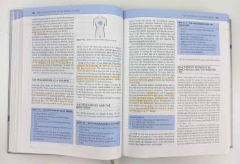Giovanni Maciocia: The Foundations of Chinese Medicine