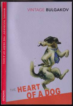 The heart of a dog