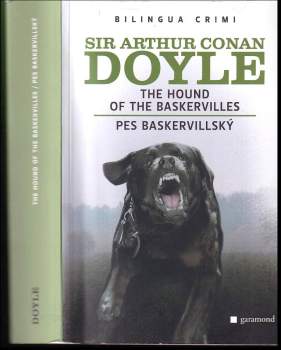 The hound of the Baskervilles