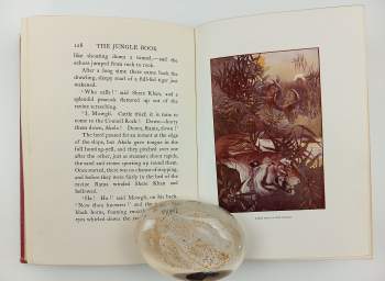 Rudyard Kipling: The Jungle Book - With Illustrations in Colour by Maurice and Edward Detmold