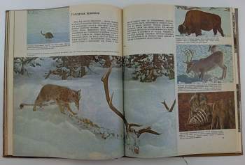 Richard Carrington: The mammals - млекопитающие