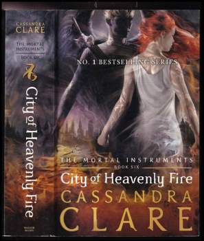 The mortal instruments