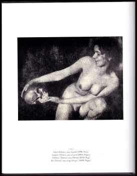 Vladimir Birgus: The Photographer František Drtikol