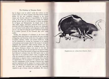 V. Gordon Childe: The Prehistory of European Society