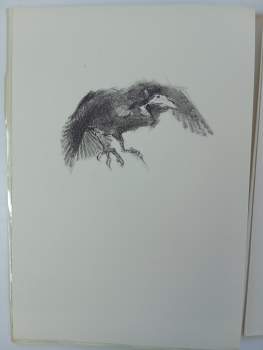 Edgar Allan Poe: The Raven