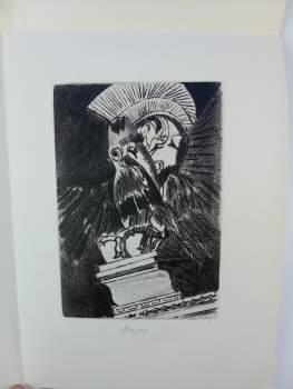 Edgar Allan Poe: The Raven