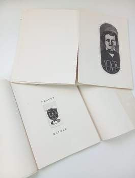 Edgar Allan Poe: The Raven