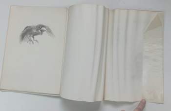 Edgar Allan Poe: The Raven