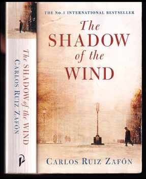 The shadow of the wind