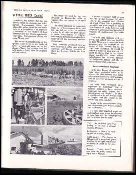 The South African Sugar Year Book 1960-61 Edition
