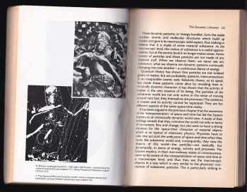 Fritjof Capra