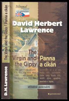 The virgin and the gipsy