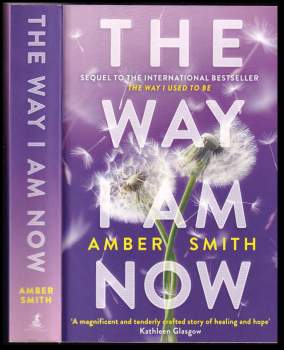 Amber Smith: The Way I Am Now