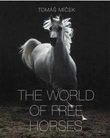 The world of free horses