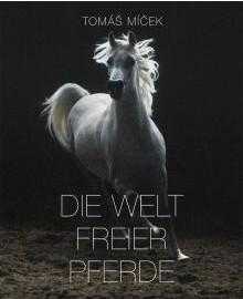 The world of free horses