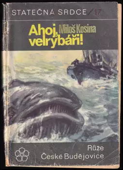 Název varianty