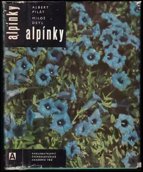 Název varianty