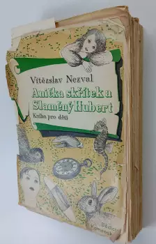 Název obrázku