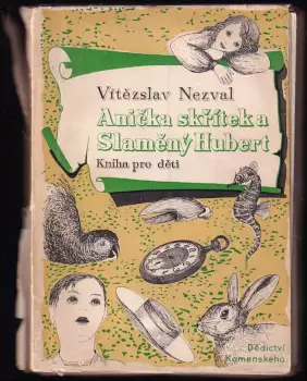 Název obrázku