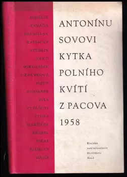 Název varianty